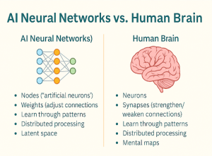 A comparison chart with two columns. On the left, labeled “AI Neural Networks,” it lists: Nodes (“artificial neurons”), Weights (adjust connections), Learn through patterns, Distributed processing, and Latent space. On the right, labeled “Human Brain,” it lists: Neurons, Synapses (strengthen/weaken connections), Learn through patterns, Distributed processing, and Mental maps. An illustration of a neural network diagram is on the left and a drawing of a human brain is on the right.